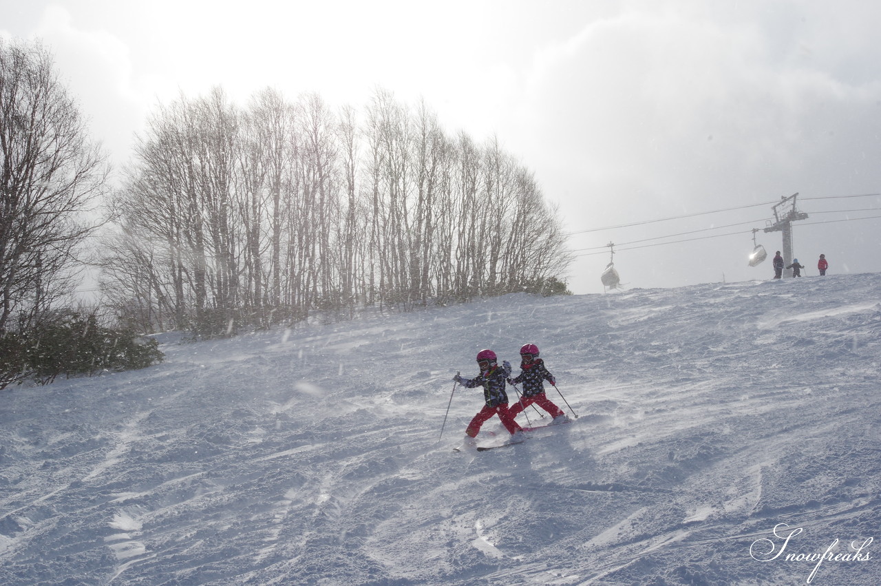 札幌国際スキー場 これぞ北海道。粉雪が降り積もったゲレンデはコンディション良好！そして、早くも全コース滑走可能です(*^^)v